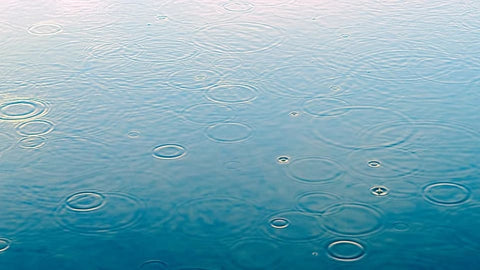 Soñar con lluvia: ¿Qué significados?