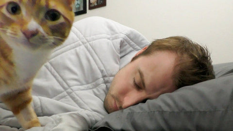 Dormir con tu gato: pros y contras