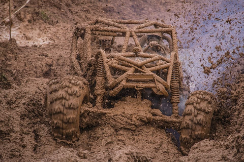 Dreaming of Mud: What Meanings?