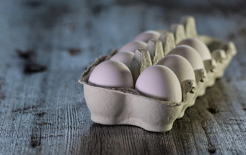 Sognare un uovo: quali significati?