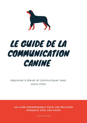 Perro durmiendo boca arriba: ¿Cuáles son las razones?