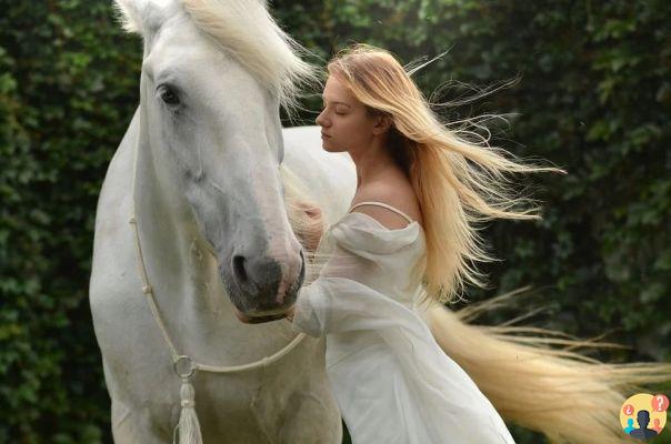 Sonho de andar a cavalo: Que significados?