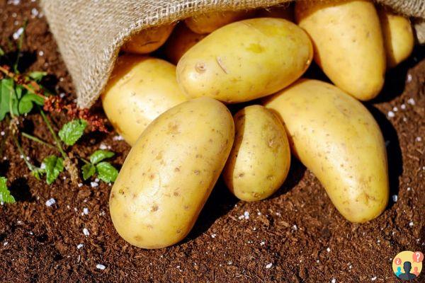 Sonhar com Batata: Que Significados?