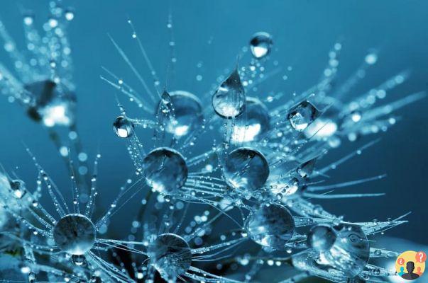 Dreaming about rain: What meanings?