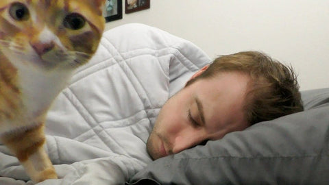 Sleeping with your cat: Pros and cons