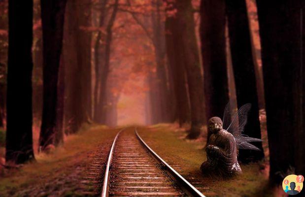 Dream of train: What meanings?