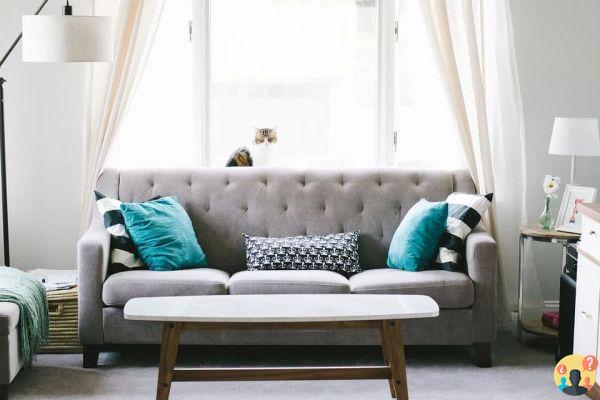 Sognare il divano: quali significati?