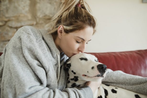 Qual animal você deve adotar de acordo com o seu signo do zodíaco?