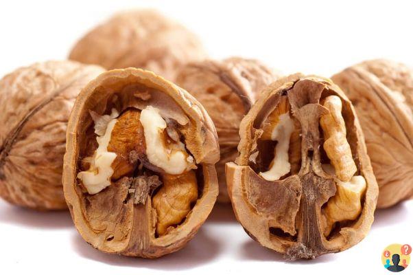 Soñar con Nueces: ¿Qué Significados?