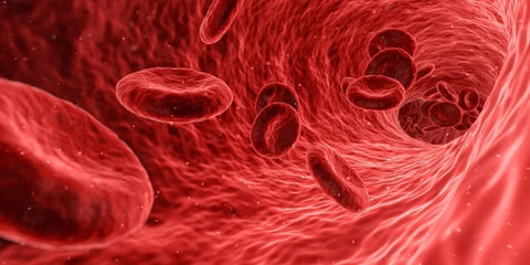 Sognare sangue: quali significati?