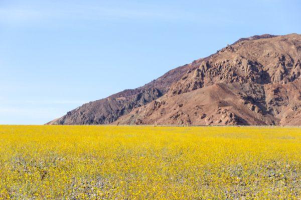 10 fenomeni naturali spiegati dalla scienza