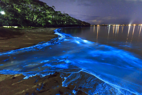 10 natural phenomena explained by science