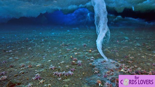 10 natural phenomena explained by science