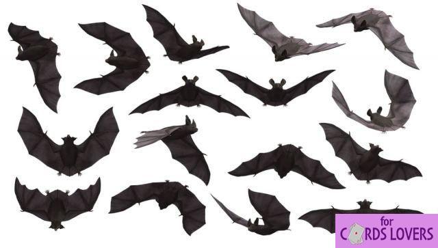 Soñar con murciélago: ¿Qué significados?