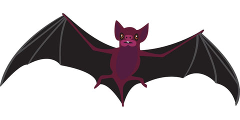 Dreaming about a bat: What meanings?