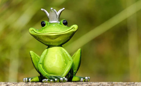 Dreaming of frog: What meanings?