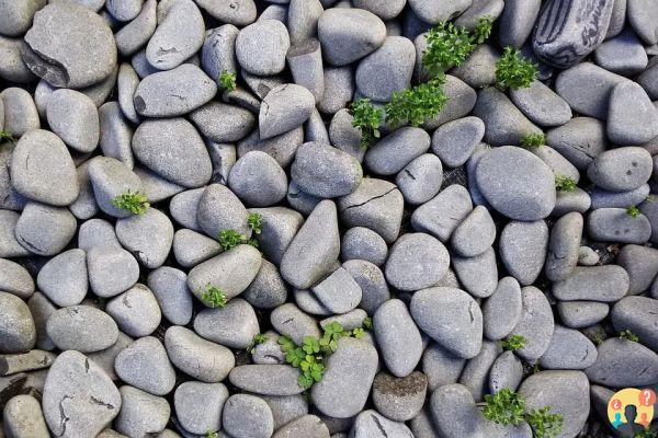 Soñar con Piedra: ¿Qué Significados?