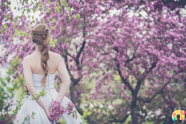 Soñar con Vestido: ¿Qué Significados?