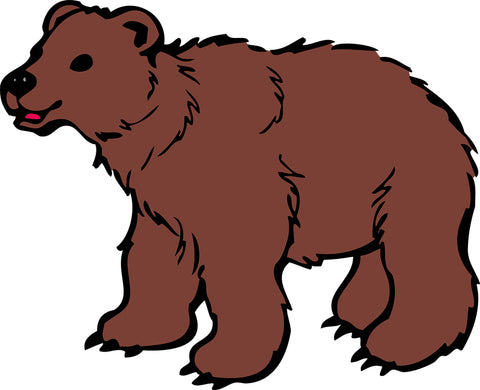 Sonhar com Urso: Que Significados?