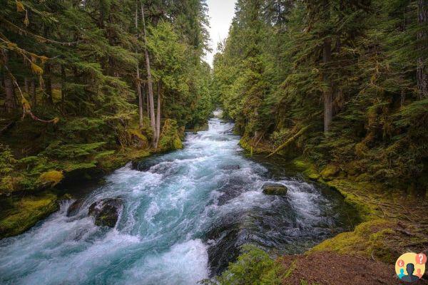 Soñar con río: ¿Qué significados?