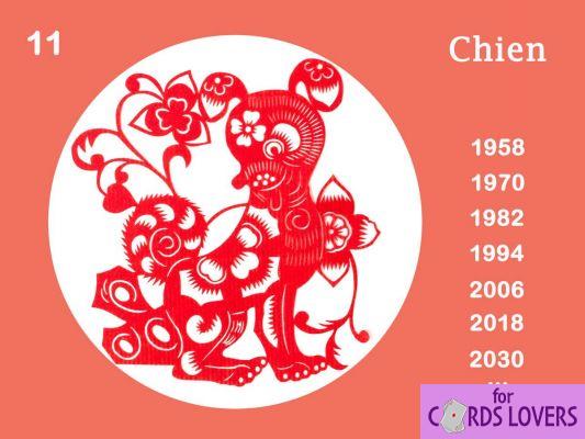 Signo chinês: a personalidade do Cão