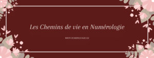 O caminho da vida na numerologia