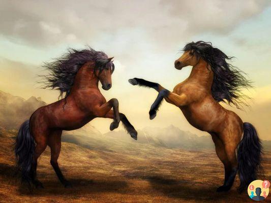 Dreaming of an aggressive horse: What meanings?