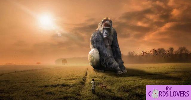 Sonhar com macaco: Quais significados?
