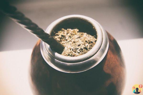 ¿Por qué debes consumir mate?