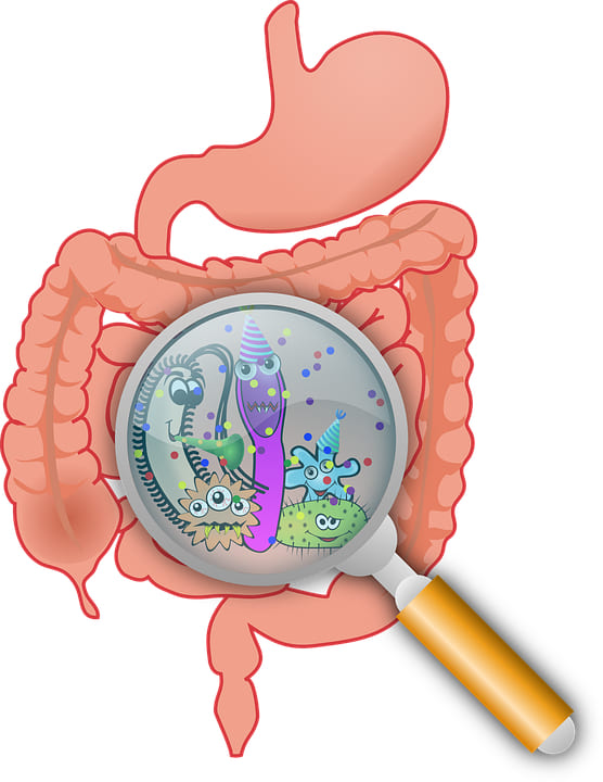 Vomitar durante o sono: por que e o que fazer?