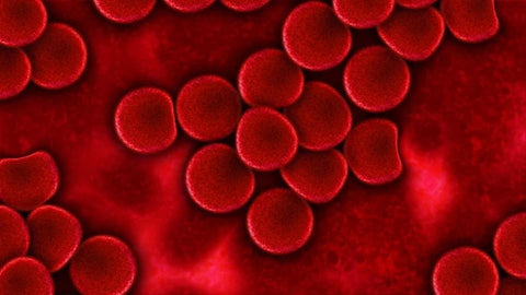 Sogno di sangue dal naso: quali significati?