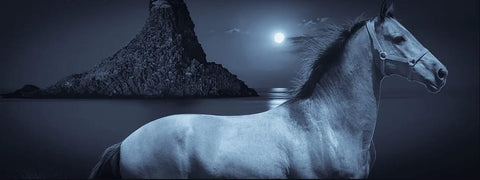 Sognare un cavallo: cosa significa?