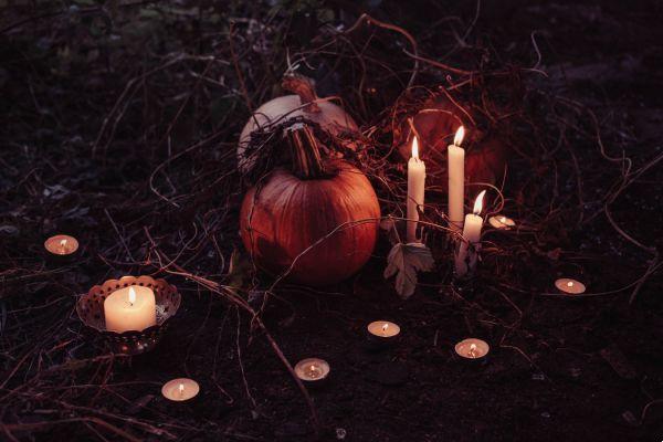 Discover 8 superstitions related to Halloween